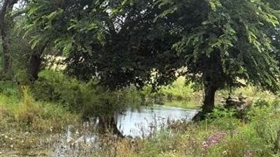 Highland Lakes MLS