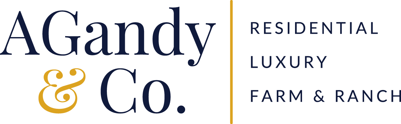 AGandy & Co. logo